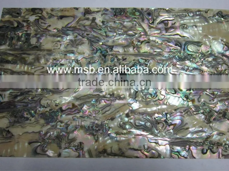 mexican paua abalone shell laminate