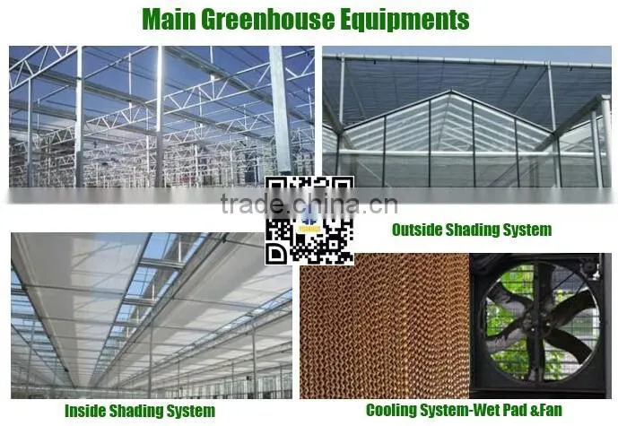 Commercial Greenhouse
