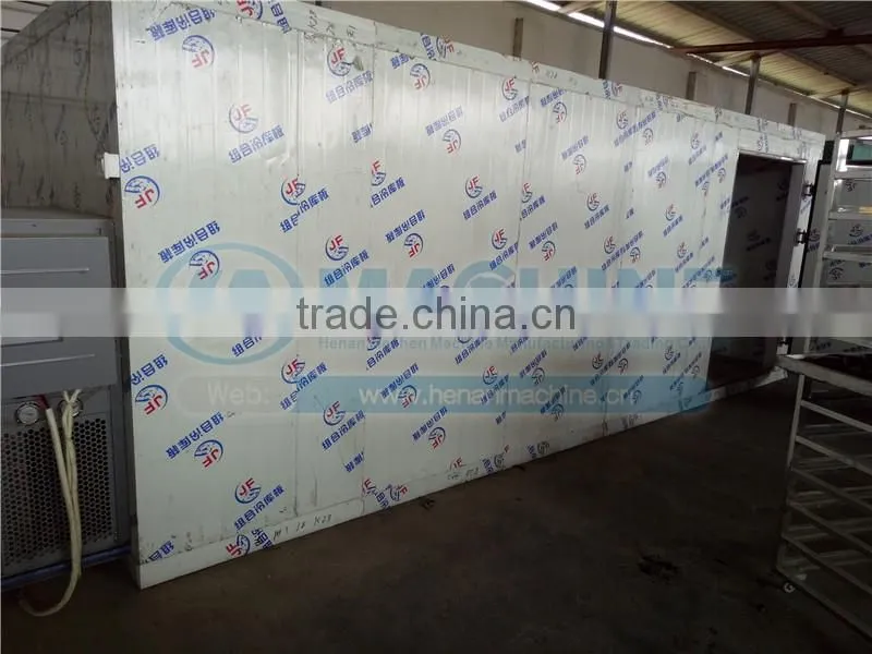 heat pump fruit dryer argos for fruit vegetable herb meat fish chilli for moringa leaves