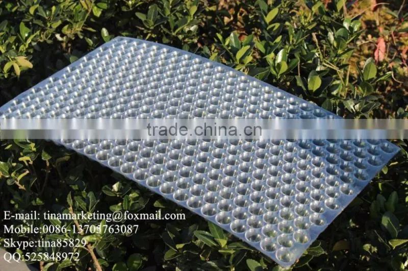 434 Holes Transparent Plastic Paddy Seed Starting Tray for Rice Propagation/Parachute Seedling trays