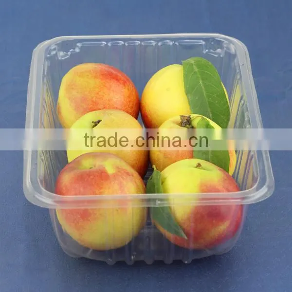 transparent eco-friendly disposable plastic food container