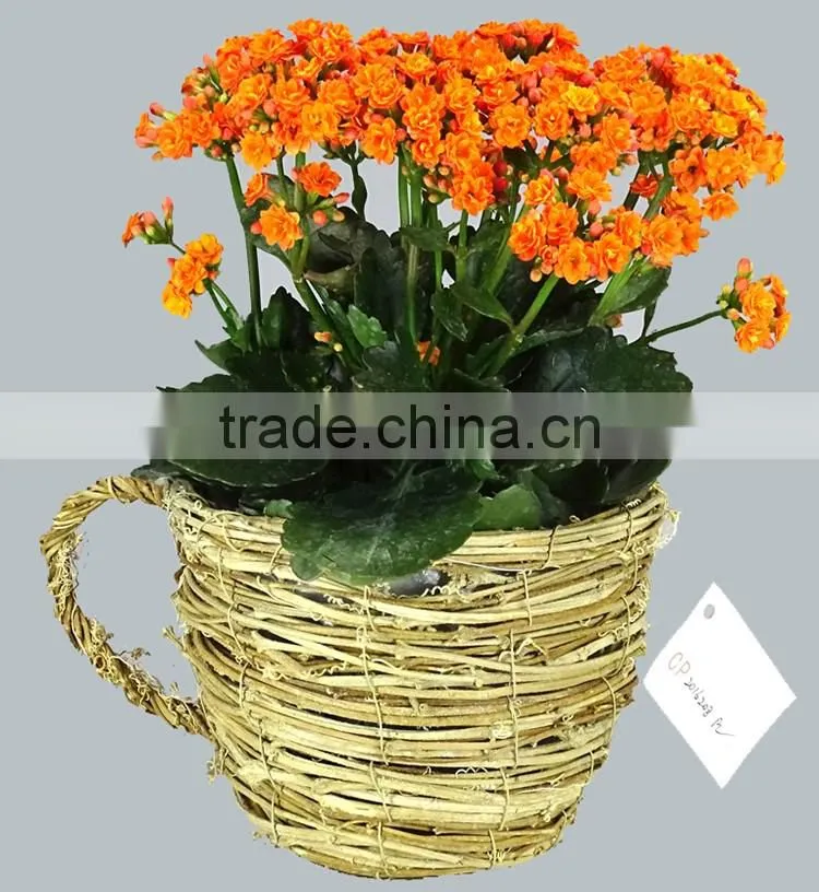 Yellow rattan cups and flower pots