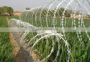 Galvanized Razor Wire from Guangzhou supplier