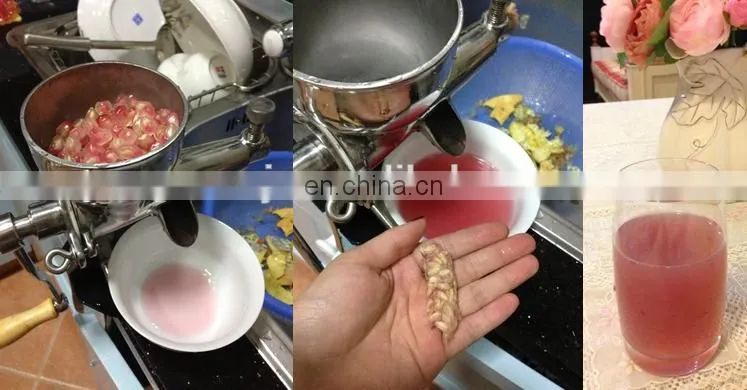 Wholesale price wheatgrass juicer for sale