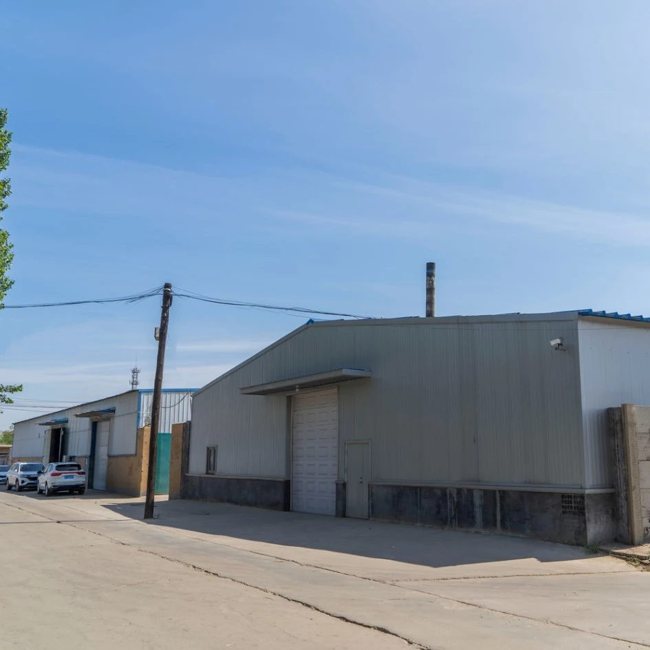Wuqiang Xinlong Technology Co., Ltd. company overview - view 1