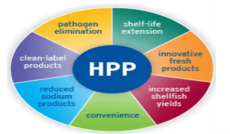HPP Automatic TOMATO JUICE STRAWBERRY JUICE Production Line HPP Sterilization Machine Equipments