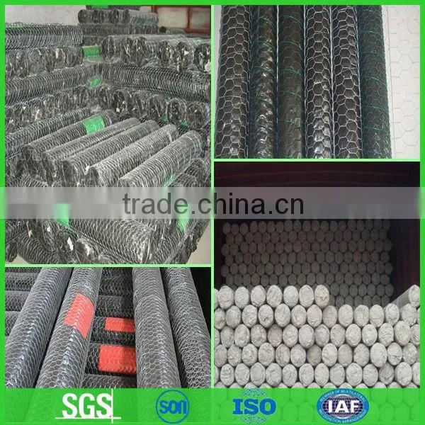 Small hole chicken wire mesh for poultry