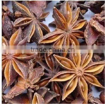Chinese New Crop Best Price Star Aniseed