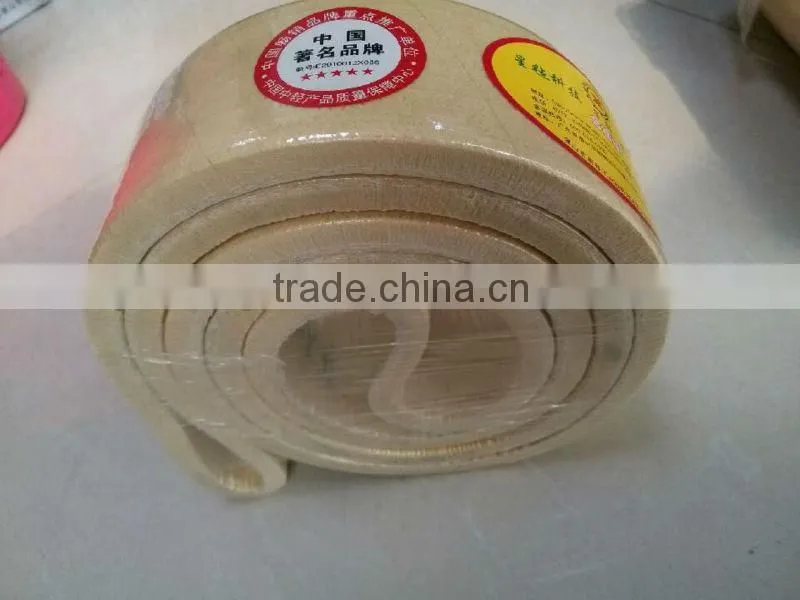 Para-Aramid conveyor belt