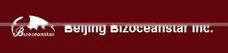 Factory Price Women's Sweatshirts Without Hood Wholesale Fashionable New Style Plain Collared Sweatshirts