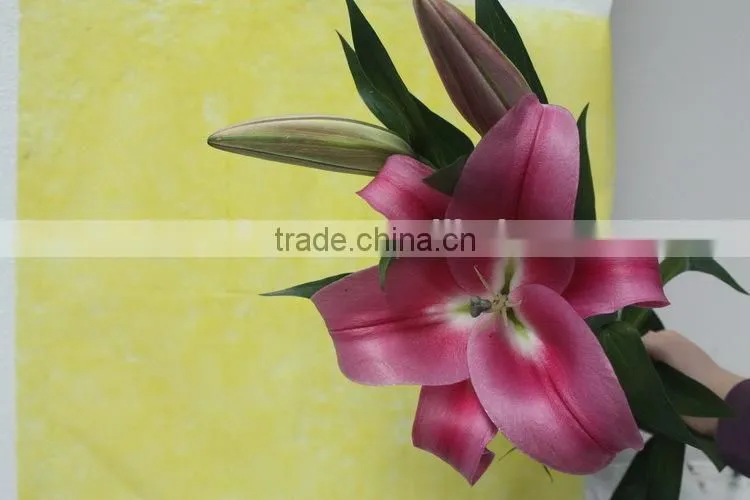 Reasonable price new coming lily flower from kunming