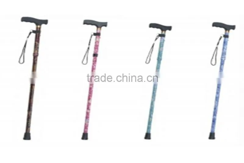 Walking Stick