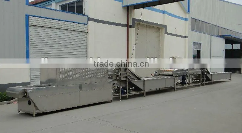 jujube production line/fruit production line/ food processing machine/food machine