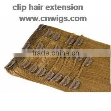 Highlight Premium quality clip hair extension