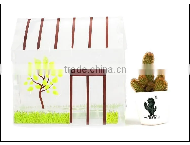 DIY Your Green House Kids Science