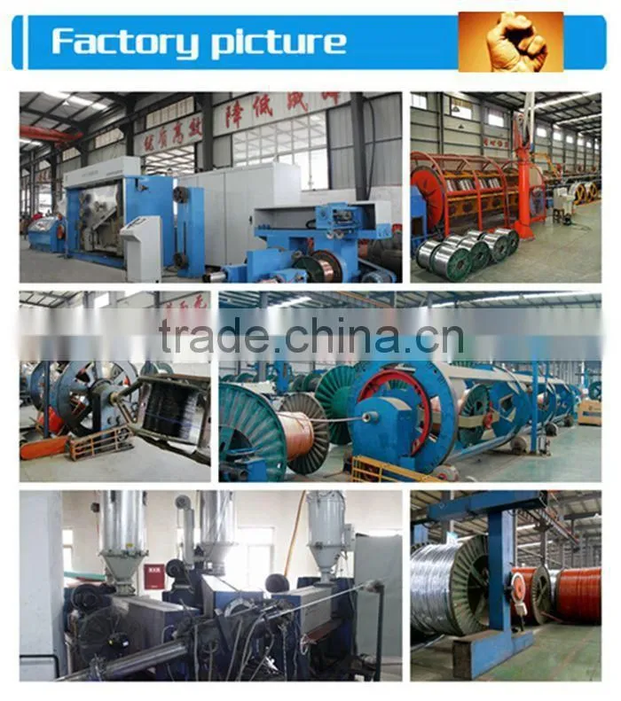 XLPE insulated armored PVC sheathed Power Cable/Soild Copper Conductor Cable/electric cables/electric wire