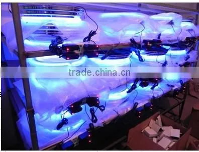 China Decoration Customed Neon Bulb Clock