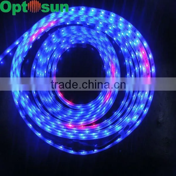 brilliant flexible led strip light