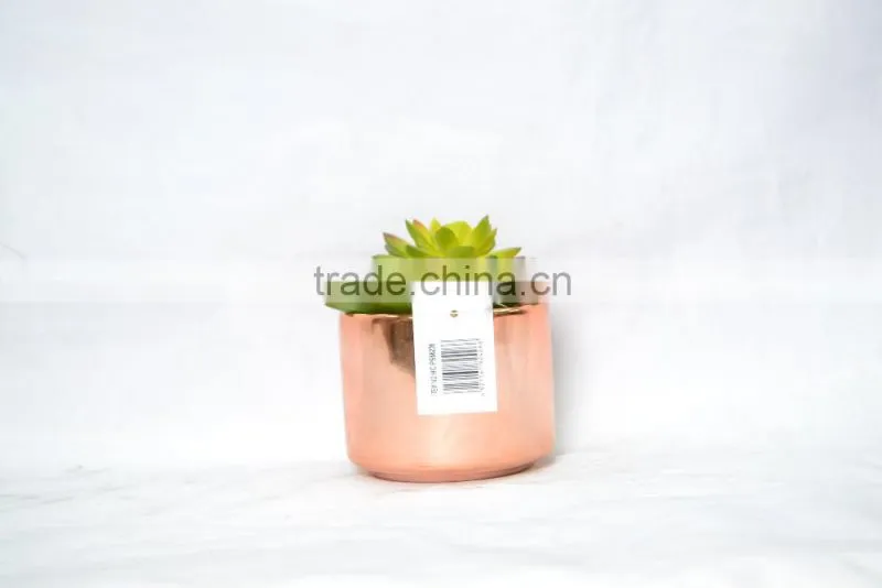 Mini Artificial succulent plants with plastic pot for indoor decoration