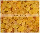 Dried Raisins from Xinjiang