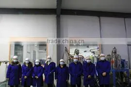 Taizhou City Huangyan Zhaolong Plastic Mould Co., Ltd. company overview - view 1