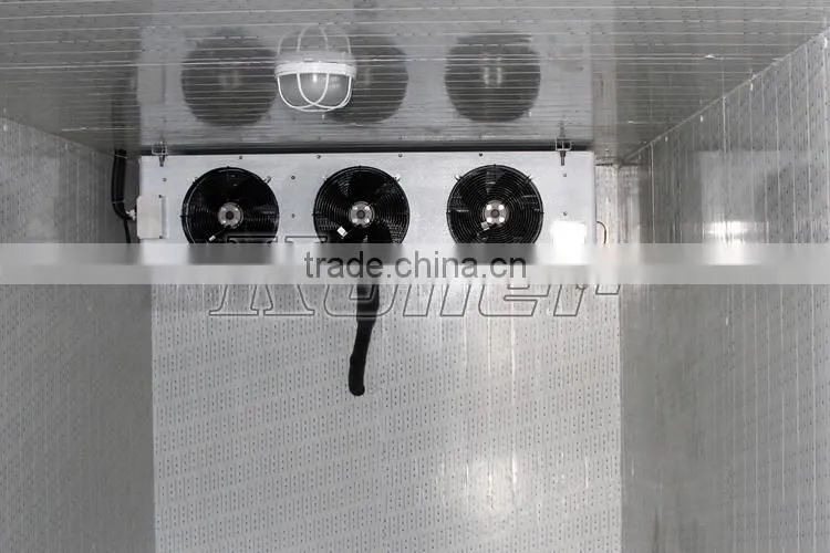 VCR60 Koller Storage cold room for vegetable and fruits