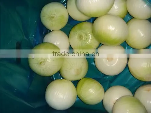 bulk new crop of onion harvest!