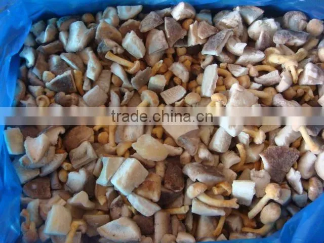 Chinese oyster mushroom iqf