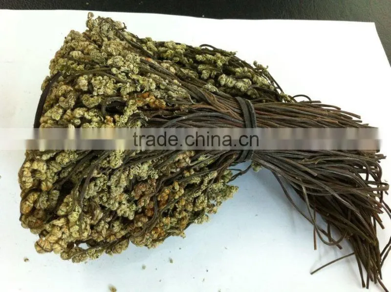 dry bracken natural bracken hot sale for Korea and Europe