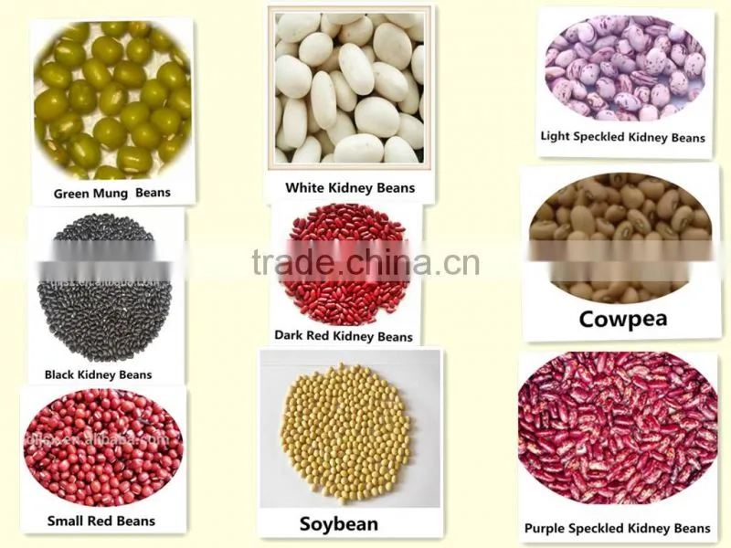 Dalian Jinshengxi International Trading Co., Ltd. company overview - view 3