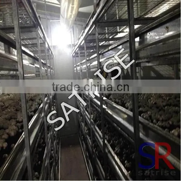 vertical laminar flow cabinet stainless steel racks