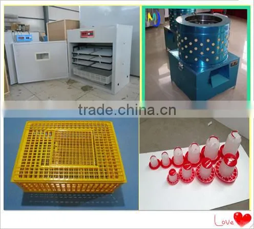 Bird cages quail battery cages quail cage