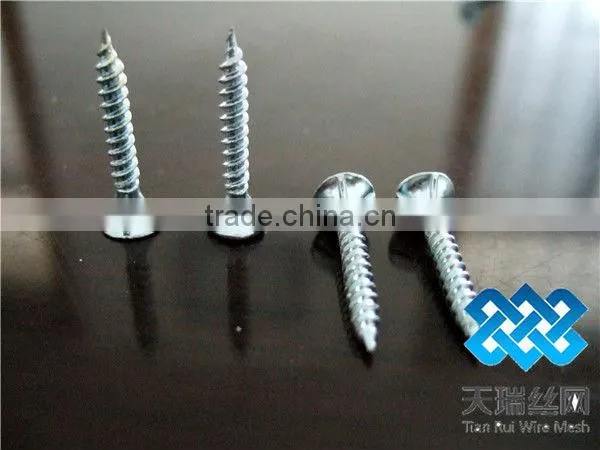 Nail/wire nail/common nails