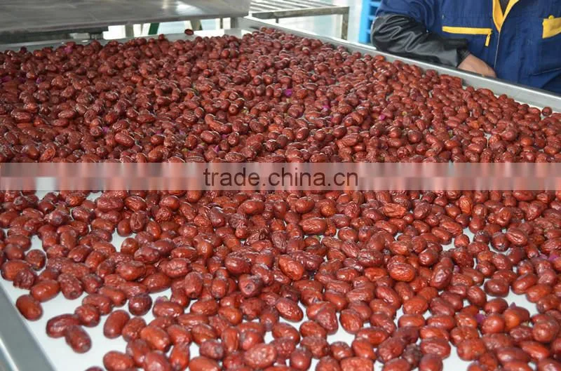 Mesh machine Type and New Condition Mesh Belt Dryer
