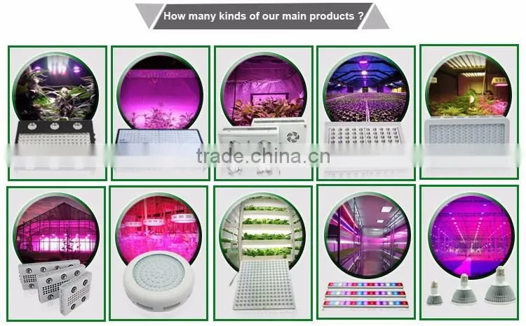 Low Price Aaa Quality High Power 60 Watt Par Light From Shenzhen Factory