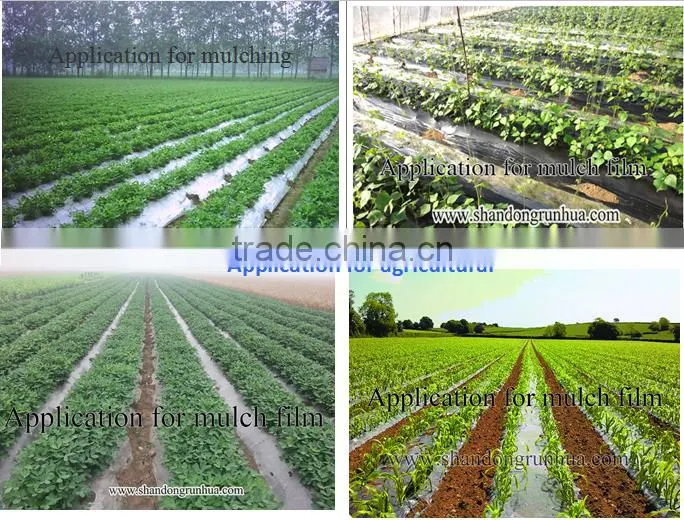 SJ-45 two layer black mulch film blowing machine