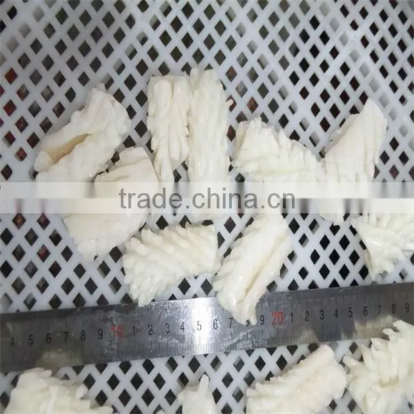 best season and high quality frozen cooked giant squid cutting