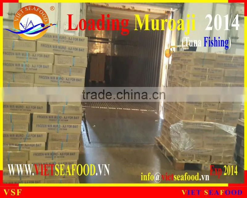 LOADING MUROAJI FOR TUNA BAIT
