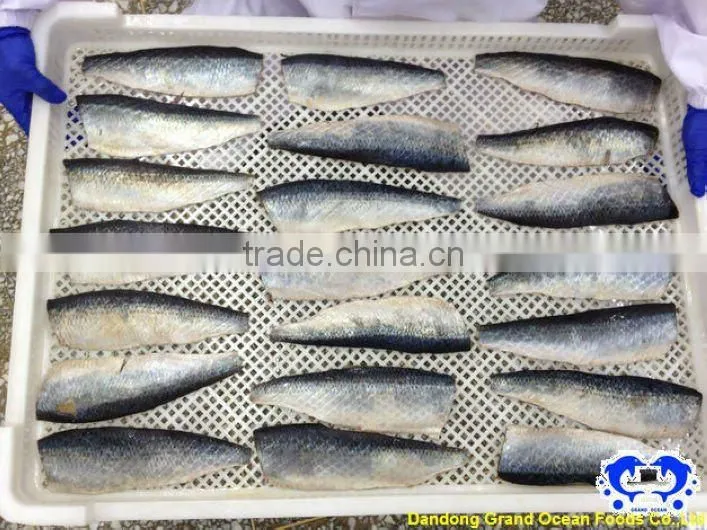 fresh herring fillet seafood
