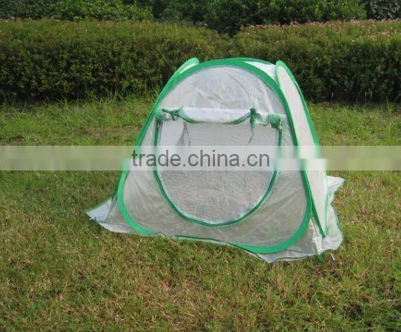 garden green house