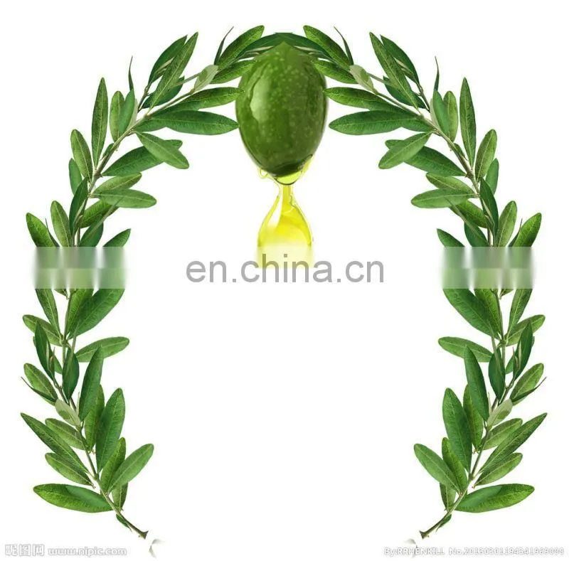 good quality and competitive price of olive oil machine supplier from China