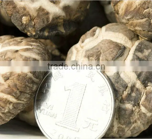 Dried White Flower Mushroom