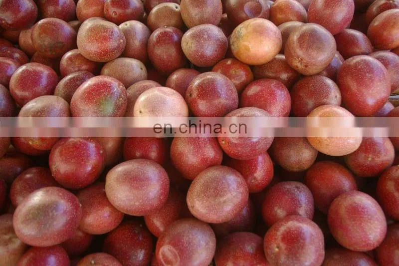 FRESH PASSION FRUITS WITH BEST PRICE AND HIGH QUALITY FROM VIETNAM