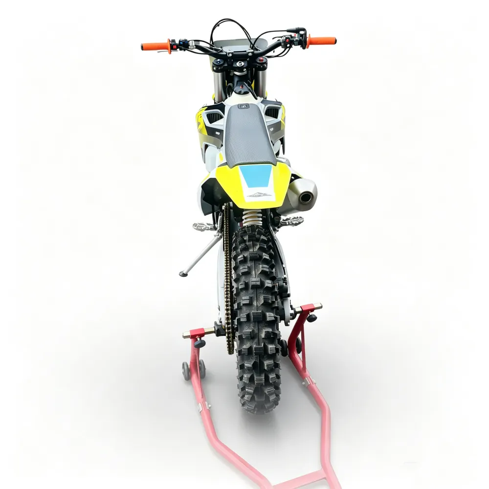 wang-dirt bike (5)