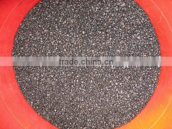 High quality Food Waste Recycling System