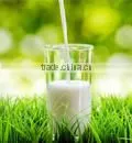Taiwan bobble Tea supplier Halal Non Dairy Creamer For Bubble Tea, Boba Tea