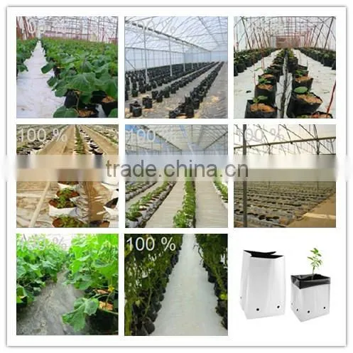 100% lightproof nursery plant bags price