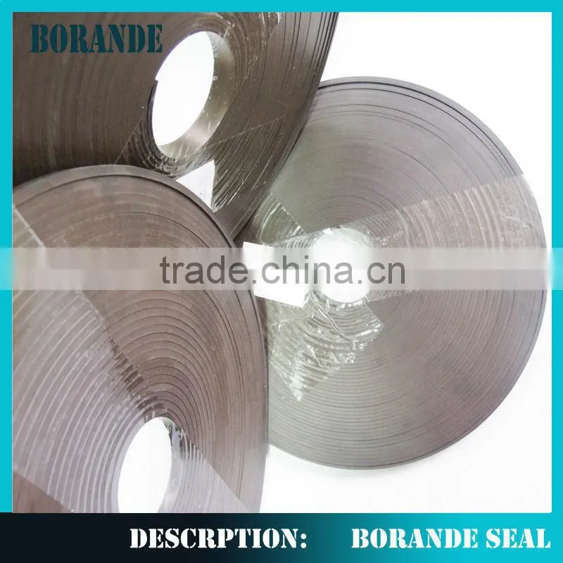Hydraullic cylinder seal SPGO Seal Glyd Ring spgo piston seal