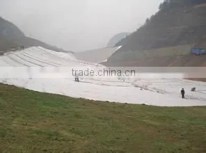 geotextile/composite geotextile