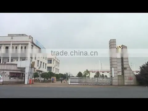 Longyou MGT Sports Co., Ltd. company overview - view 1